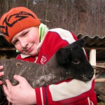 Phoca thumb l ovce 2010022838